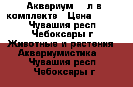 Аквариум 100л в комплекте › Цена ­ 4 500 - Чувашия респ., Чебоксары г. Животные и растения » Аквариумистика   . Чувашия респ.,Чебоксары г.